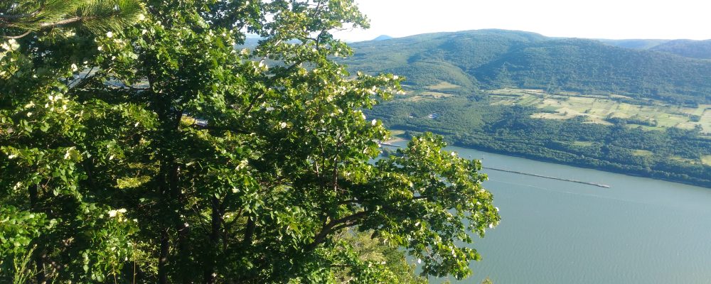 Un week-end în Drobeta Turnu Severin