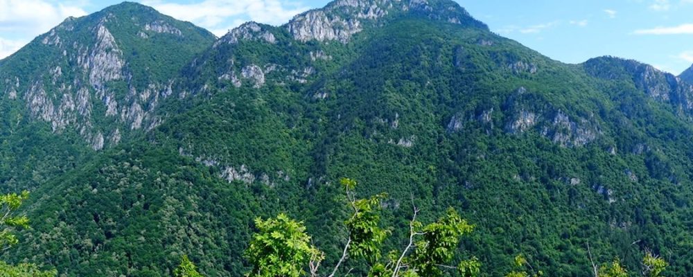 Magia de lângă tine