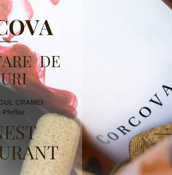 Corcova – Degustare de vinuri cu Oenolog, la Nest Restaurant