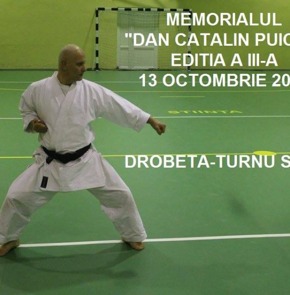 Memorialul Dan Cătălin Puicea Ediția a III-a