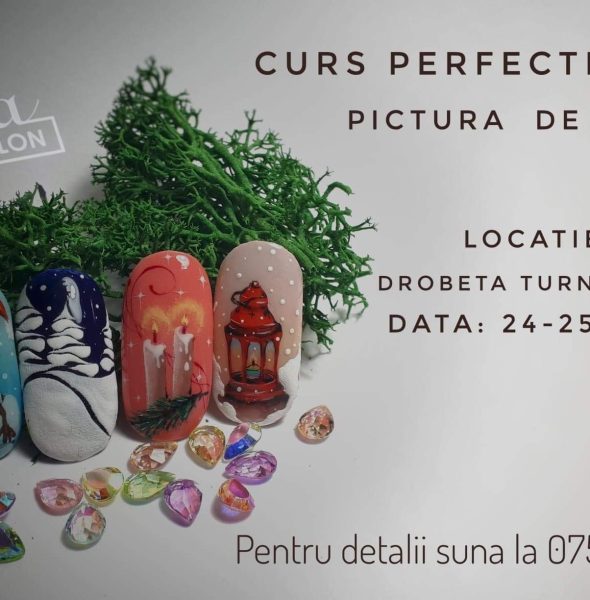 Curs de decor – Winter design